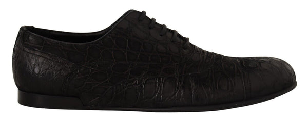 Schwarzes Kaimanleder Herren Oxford Schuhe