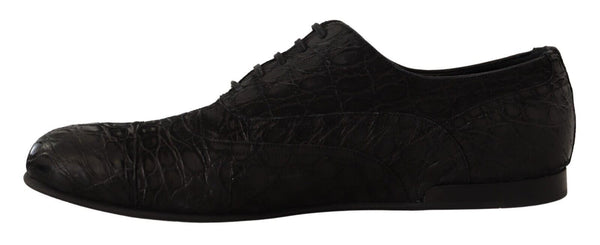 Schwarzes Kaimanleder Herren Oxford Schuhe