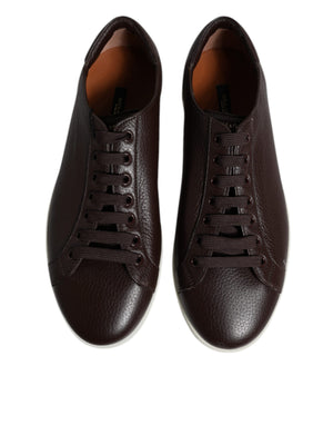 Braun Low Top Männer Saint Tropez Turnschuhe Schuhe